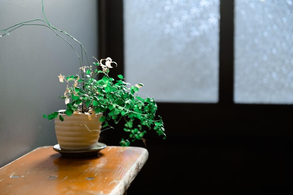 Villa Nanni Saiin Machiya à Kyoto Extérieur photo